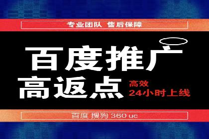 某行业头部企业信息流广告推广全解析